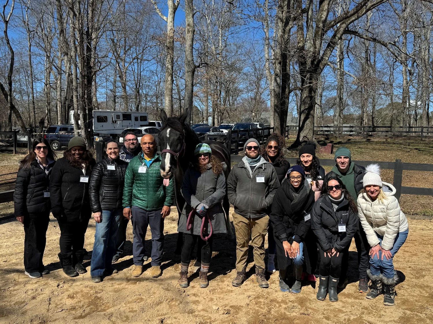 equine-facilitated group onto